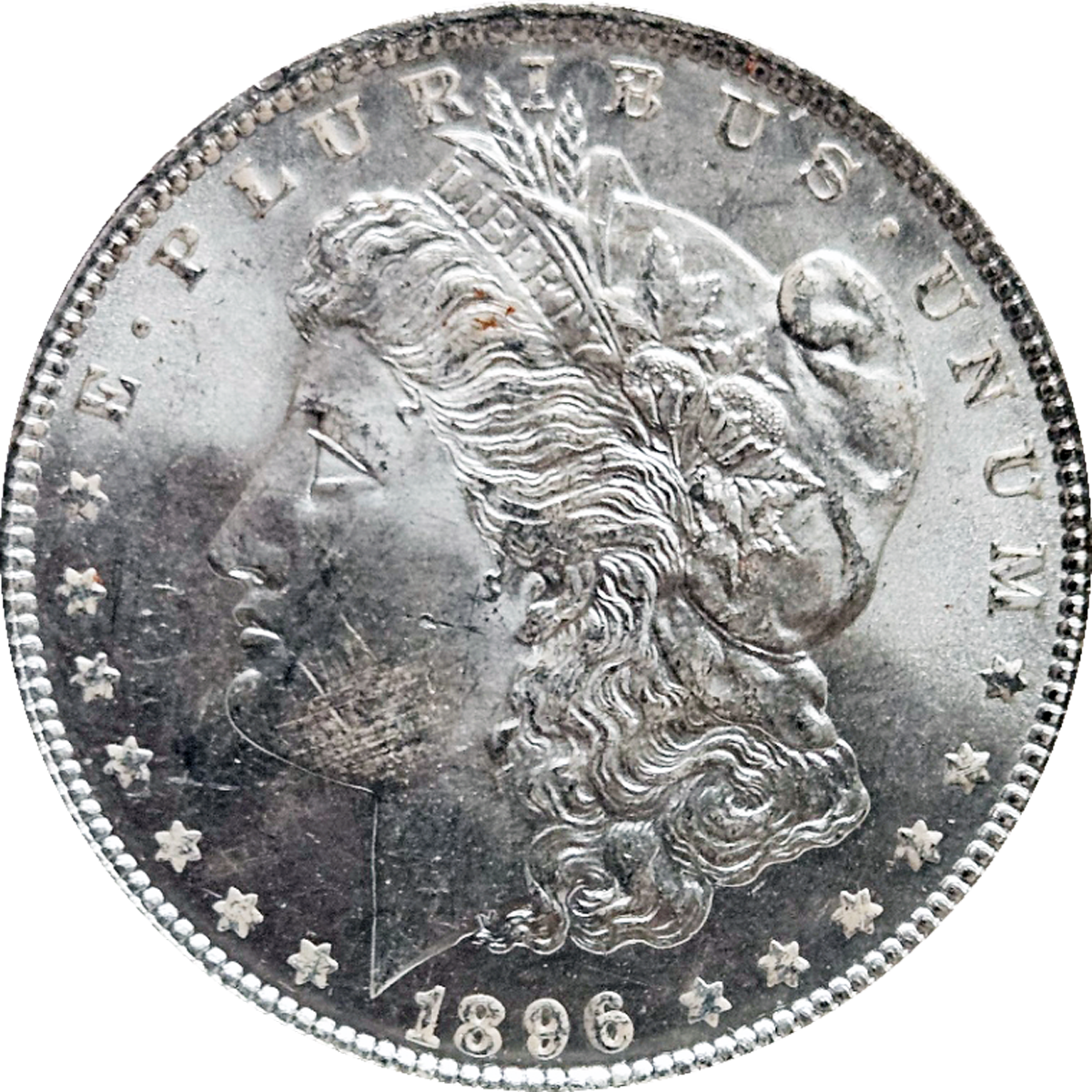 1896 Morgan Dollar NGC MS65